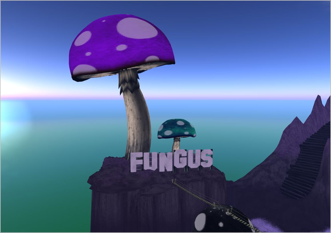 Fungus_10