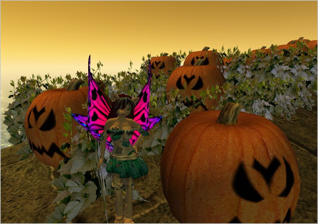 Snapshot_3866