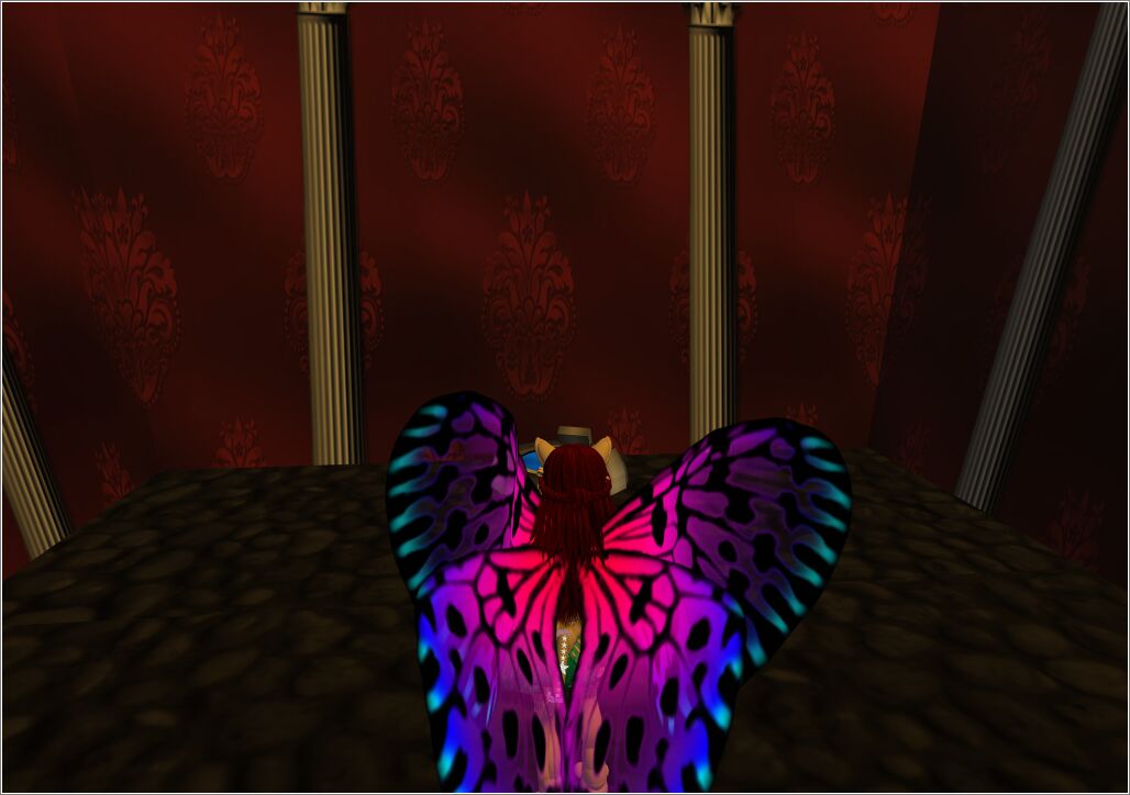 Snapshot_3868