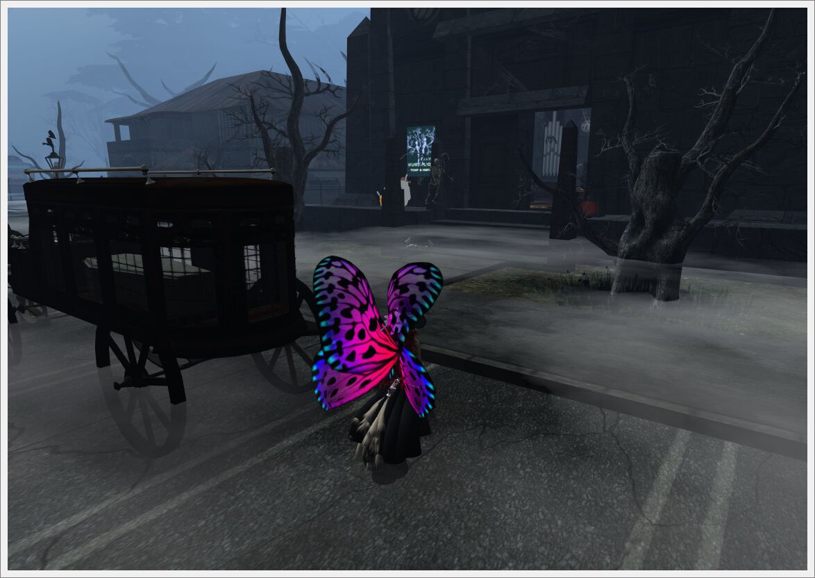 spooky11_55