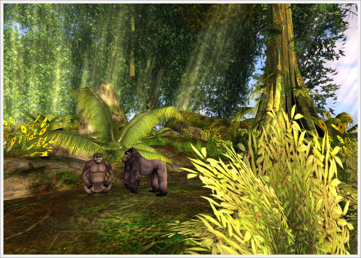 fruitislandrainforest_028