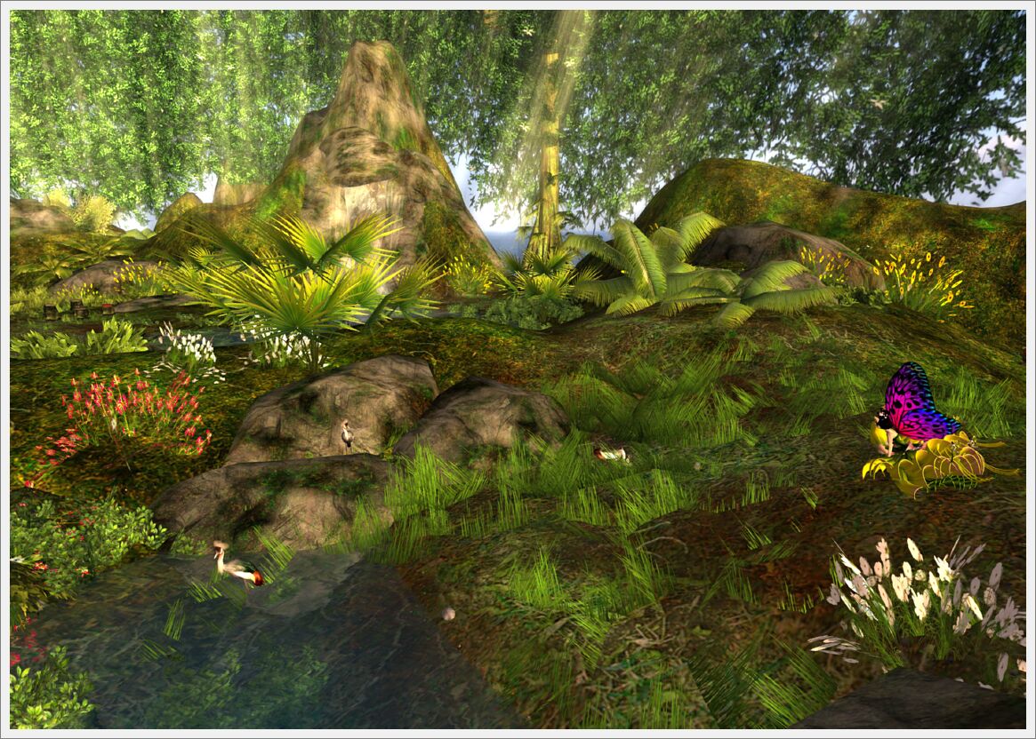 fruitislandrainforest_030