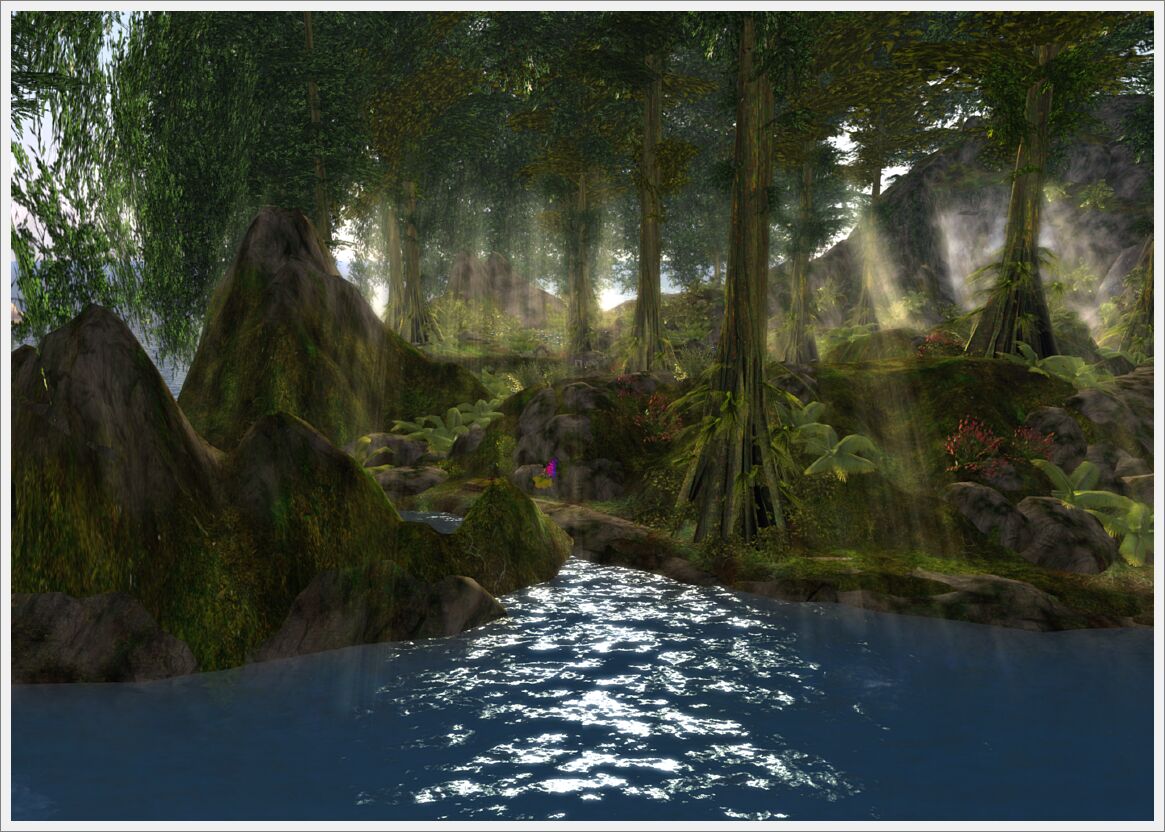 fruitislandrainforest_036