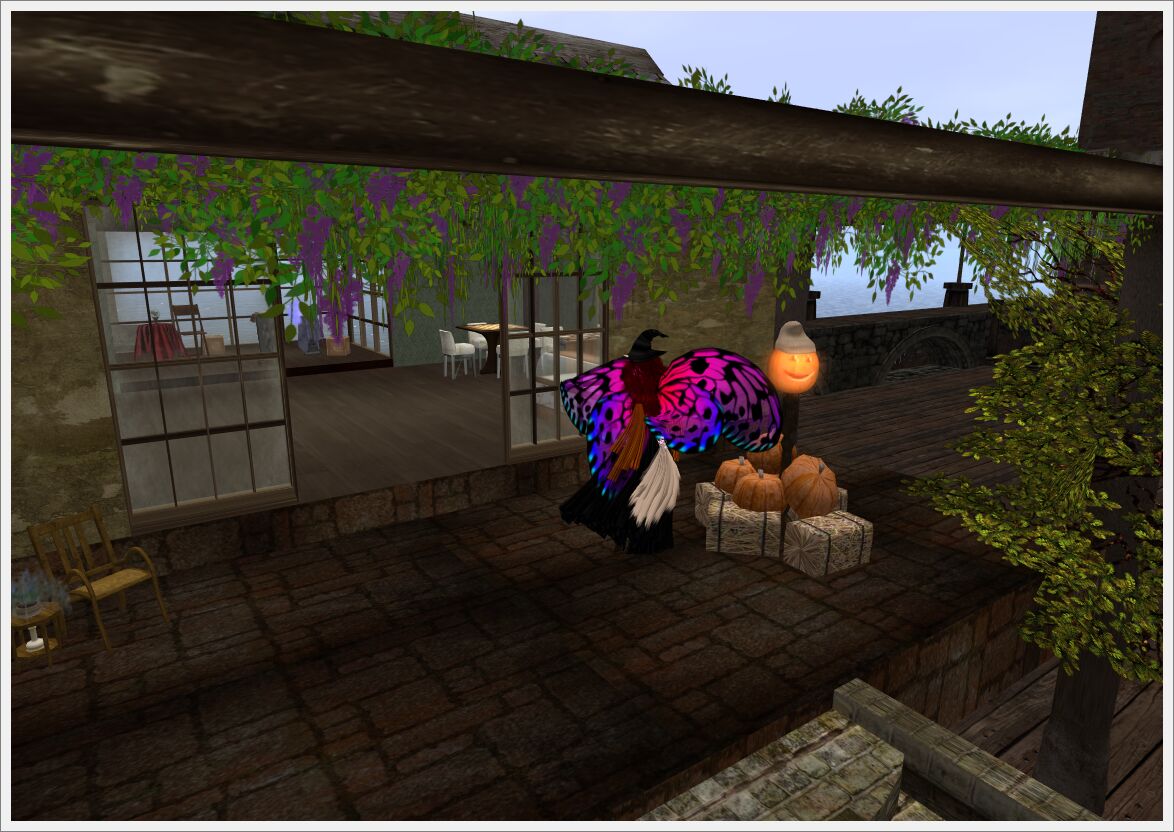 hauntedsteelhead11_46