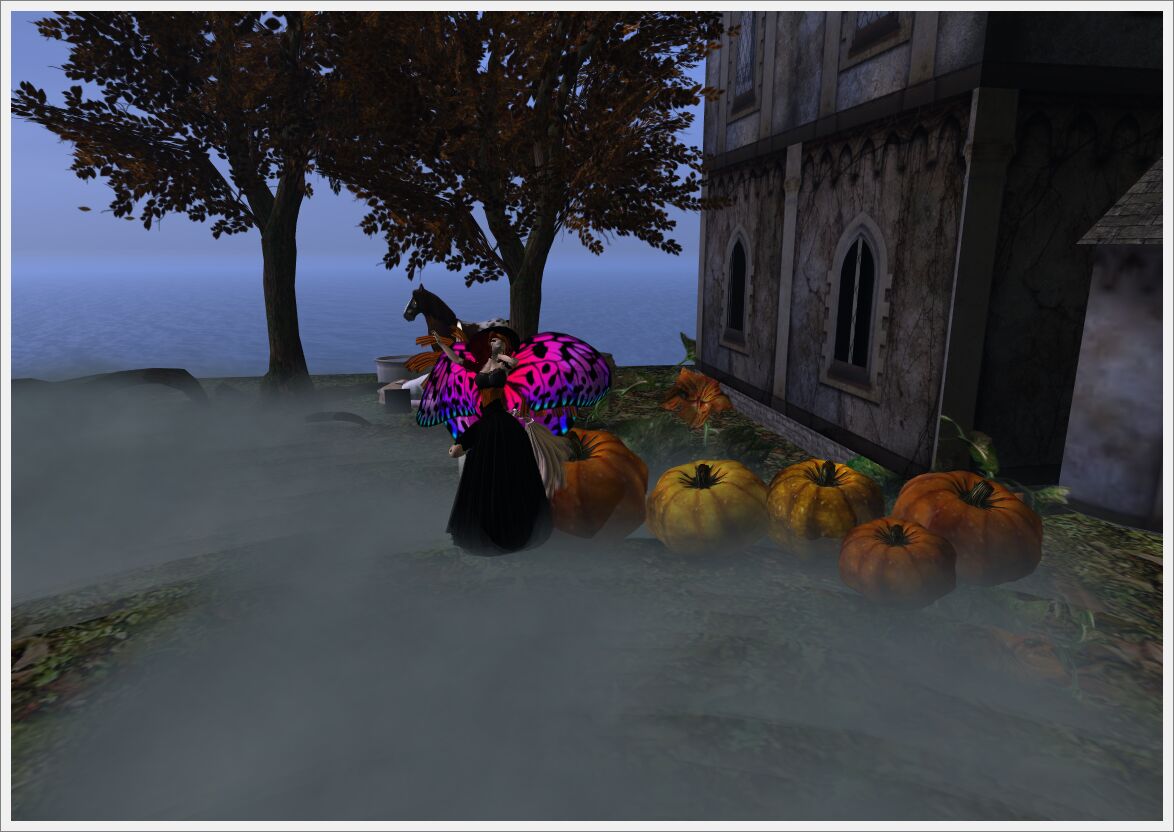hauntedsteelhead11_76