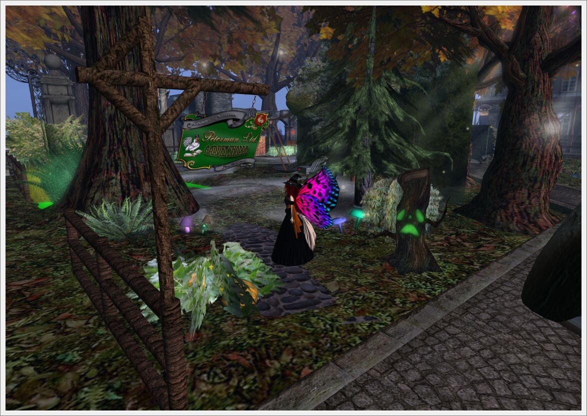 hauntedsteelhead11_77