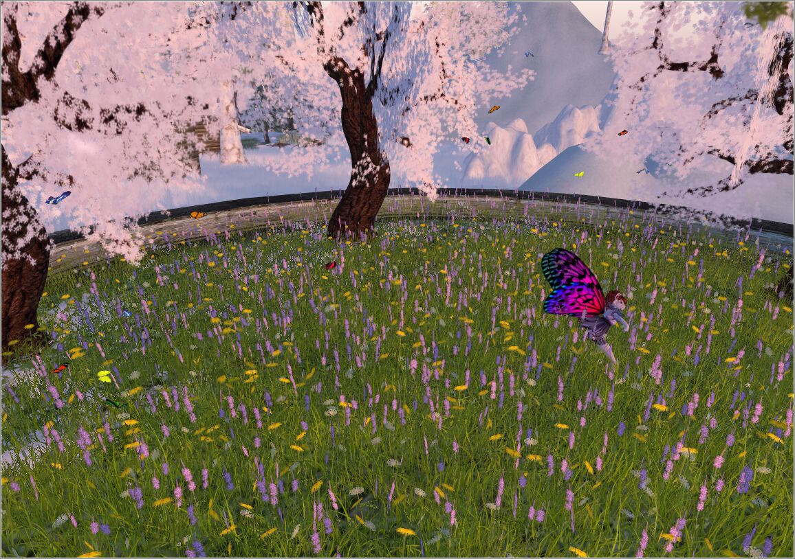 Steelhead at RFL (50 of 58)