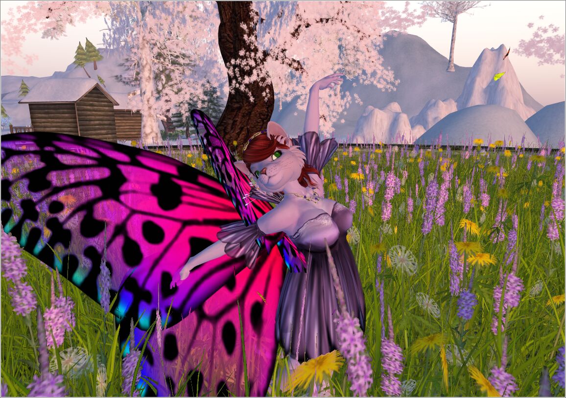 Steelhead at RFL (52 of 58)