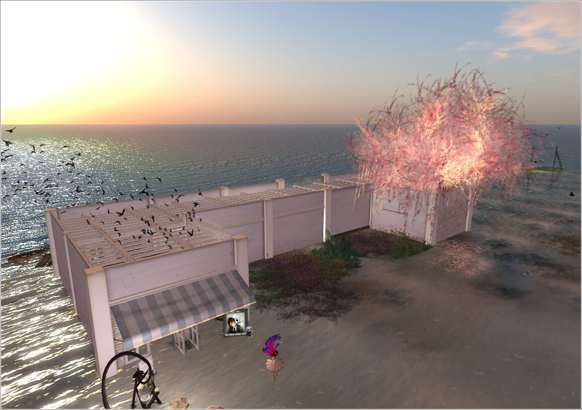 Snapshot_4168