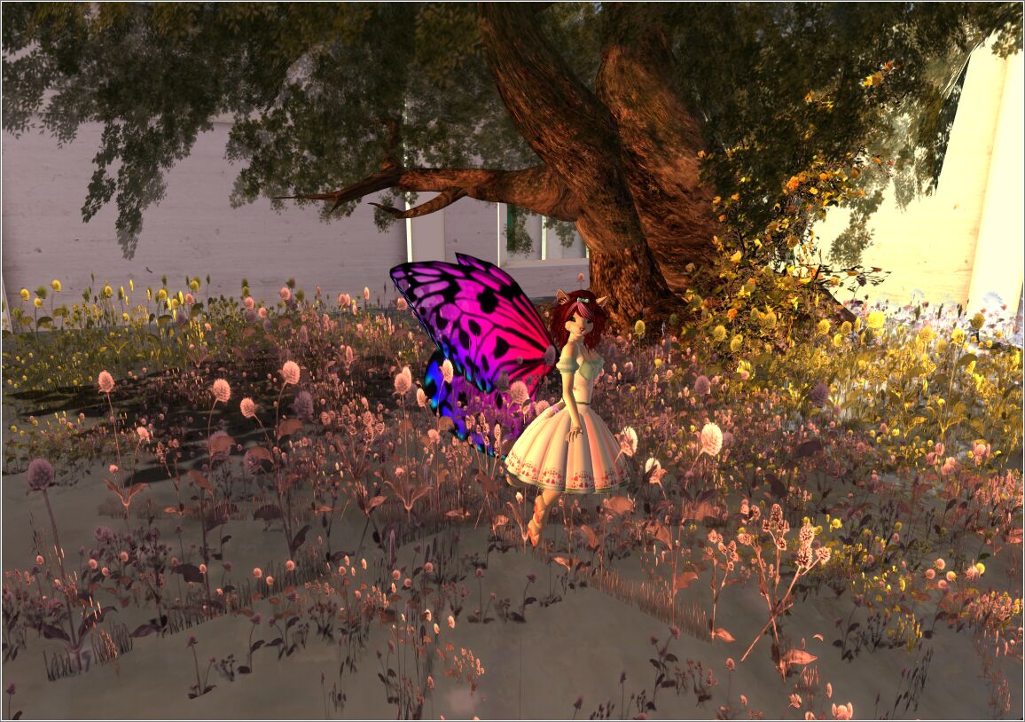 Snapshot_4170