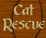 A page of resources to help Rescue some cats that have been neglected